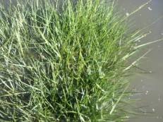 2023-08-20_15-53-50_923.jpg